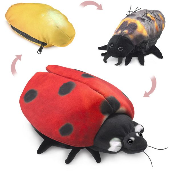 Folkmanis Puppets | Marienkäfer Metamorphose   Ladybug Life Cycle Mode