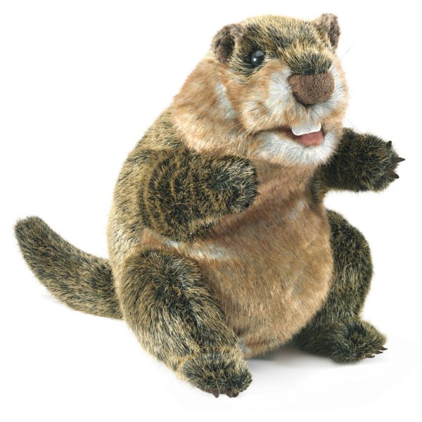 Folkmanis Puppets | Murmeltier   Groundhog Im Angebot